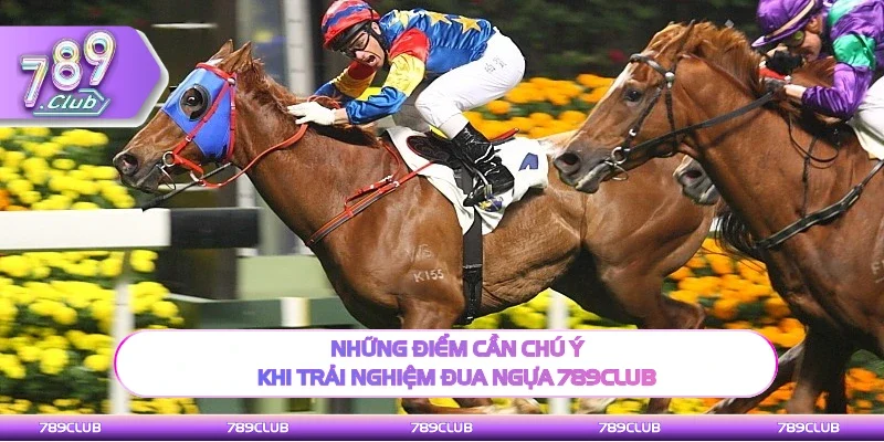 Lưu ý quan trọng khi trải nghiệm đua ngựa 789Club